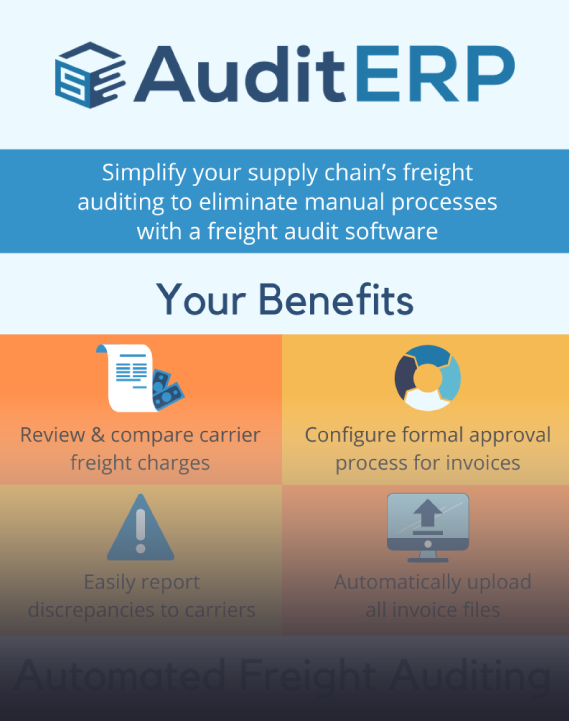 AuditERP Infographic Preview Teaser